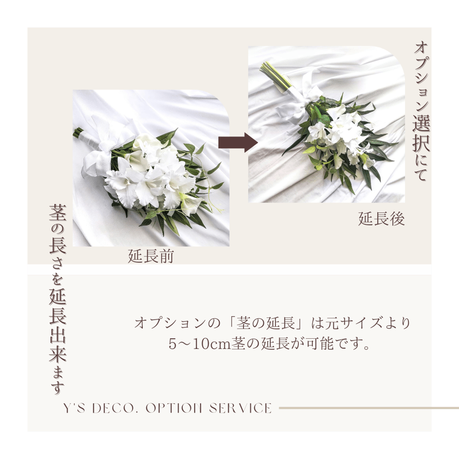 668c8a0185f63405dd49e29d