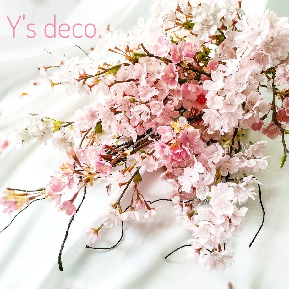 63fdc381fd12d17d408a9b3f