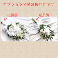 【オプション】茎の長さ延長