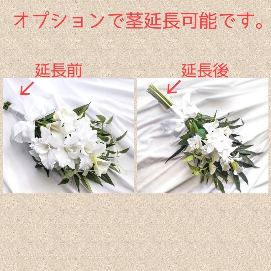 63db8ac697c24567b388bed9