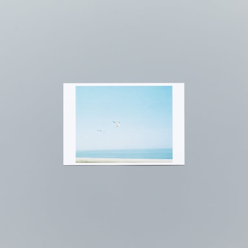 POSTCARD SET 03 | ニュー月島 | KENSUKE HOSOYA ONLIN