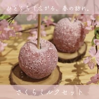サンふじ シナモンセット | Candyapple オンラインストア