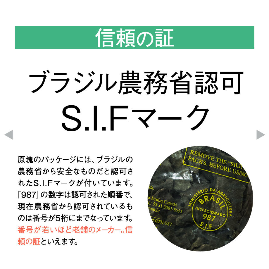5d243a202e89b71954697be3