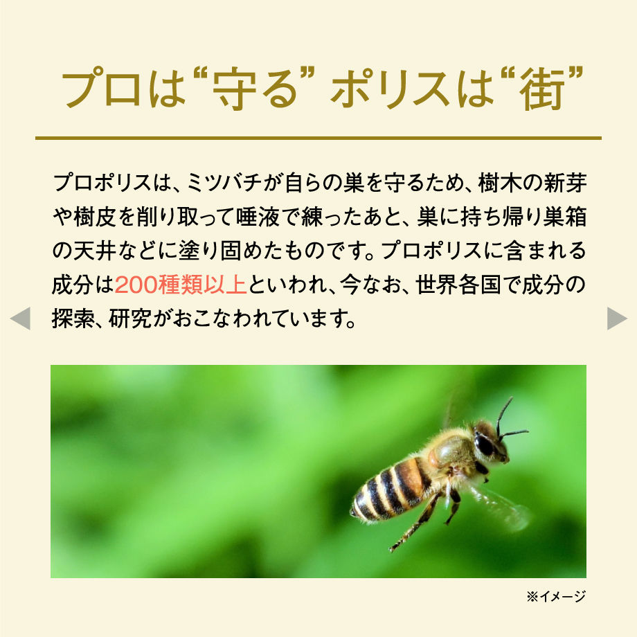 5d243a202e89b71954697be3