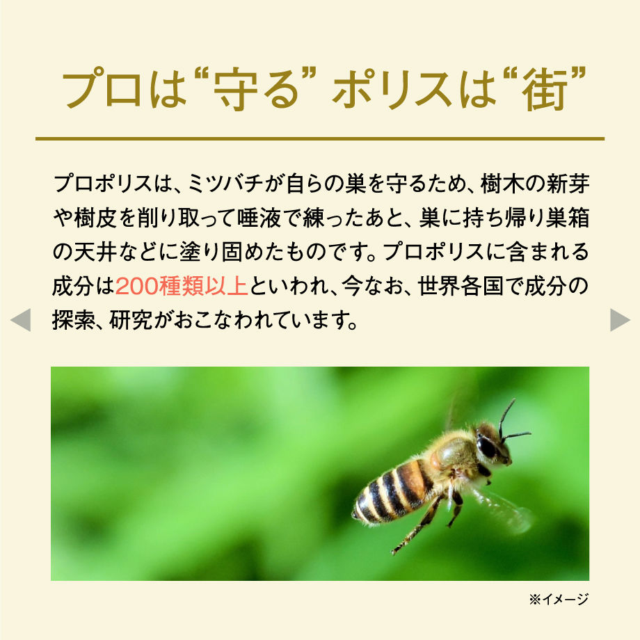 5d243bd666d86c6893058cfe
