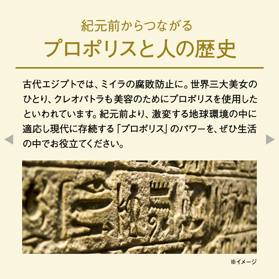 5d243bd666d86c6893058cfe