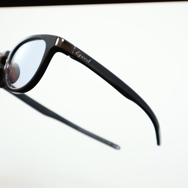 Eyevol アイヴォル LEIFER Ⅲ (49) レイファースリー(49) / BK-DG Eyevol アイヴォル LEIFER Ⅲ (49) レイファースリー(49) / BK-DG