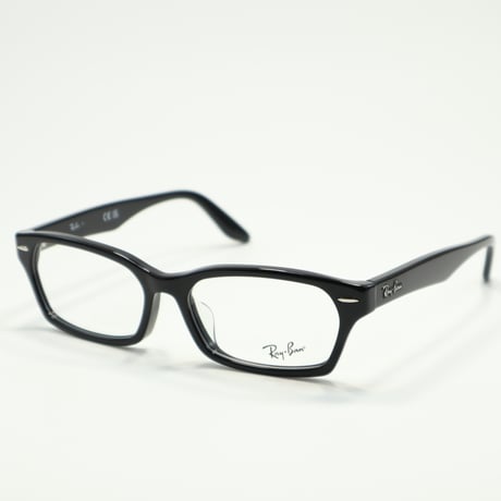 Ray-Ban レイバン RB5344D 2000