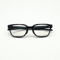 Eyevol アイヴォル WOODHALL (54) ウッドホール (54) / BK-FG-BR VLPH 調光レンズ仕様