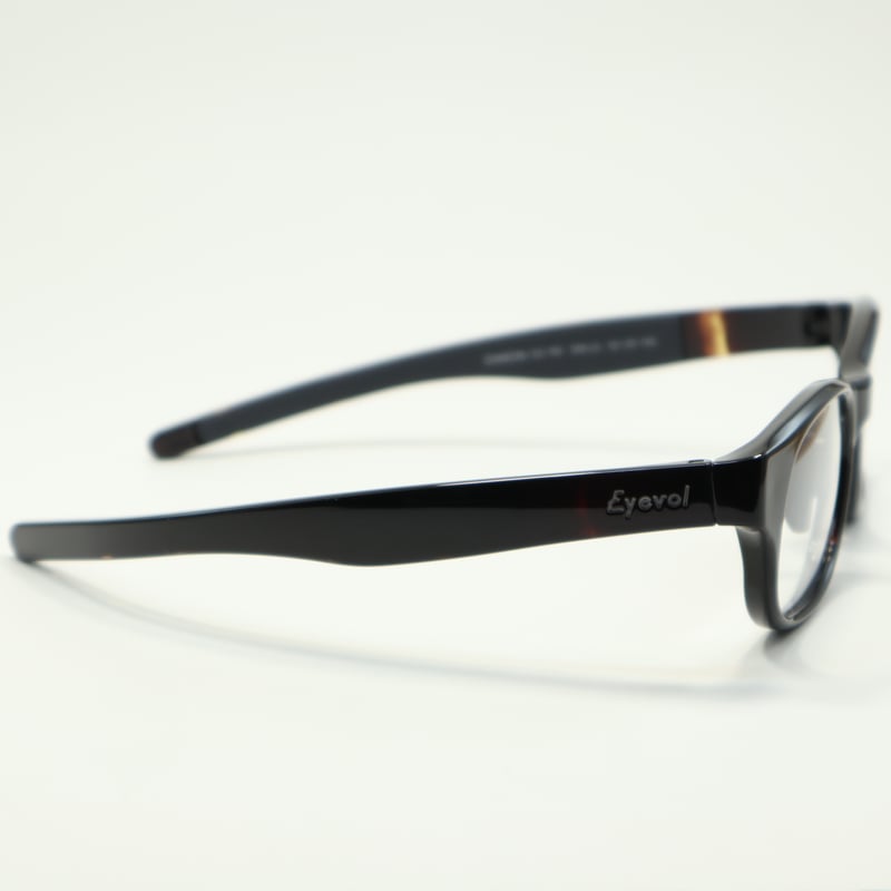 Eyevol アイヴォル DAMON RX 51 デーモンRX / DM-LG | メガネのクギミヤ