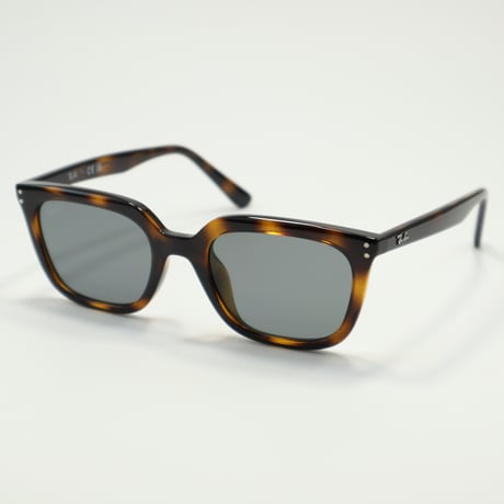 Ray-Ban レイバン RB4439D 901/87