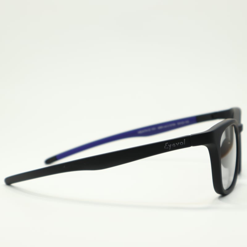 Eyevol アイヴォル HEATH Ⅲ(53) ヒーススリー / BK-V2 GY56PL Eyevol アイヴォル HEATH Ⅲ(53) ヒーススリー / BK-V2 GY56PL