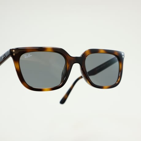 Ray-Ban レイバン RB4439D 901/87