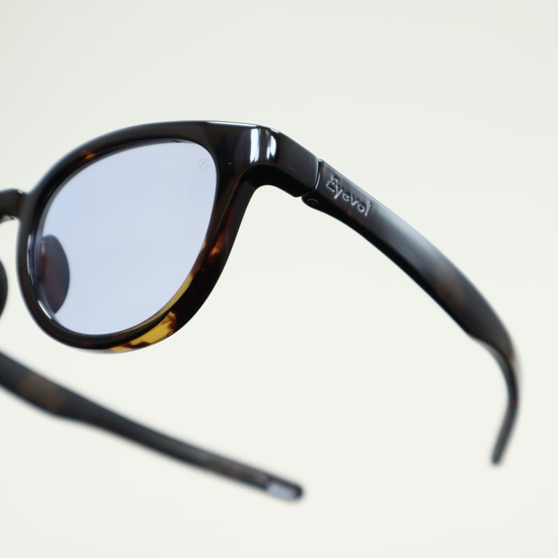 Eyevol アイヴォル LEIFER Ⅲ(49) レイファースリー(49) / DM-DG-