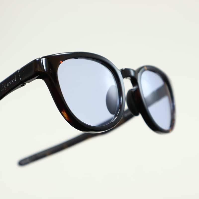 Eyevol アイヴォル LEIFER Ⅲ(49) レイファースリー(49) / DM-DG-