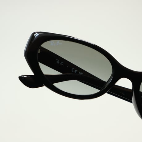 Ray-Ban レイバン RB4457D 6677/11