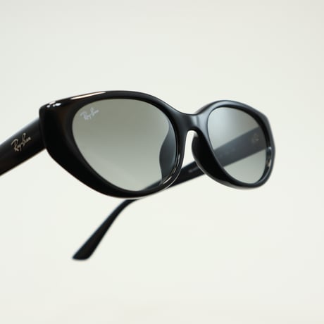 Ray-Ban レイバン RB4457D 6677/11