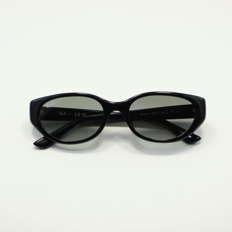 CATEGORY Ray-Ban / レイバン | メガネのクギミヤ