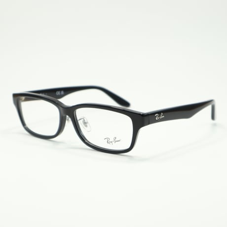 Ray-Ban レイバン RB5408D 2000