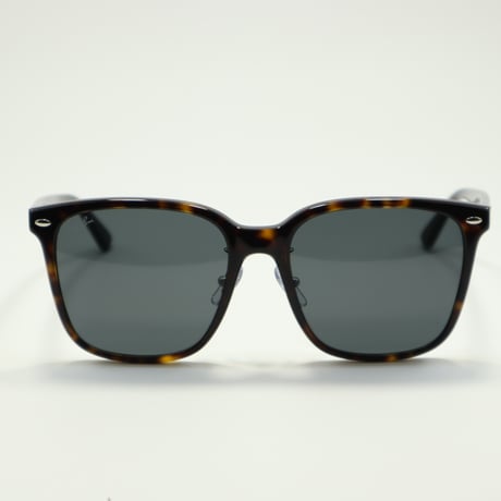 Ray-Ban レイバン RB2206D 710/87