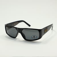 BLACK FLYS ブラックフライSANTERIA FLY サンテリアフライ BLACK / GREY 偏光