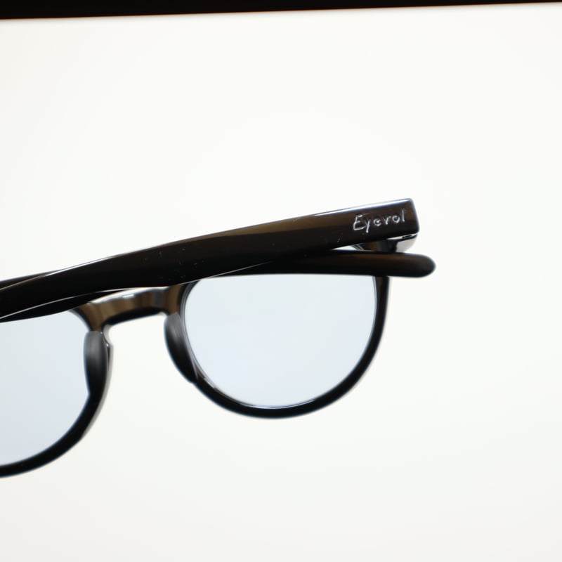 Eyevol アイヴォル LEIFER Ⅲ (49) レイファースリー(49) / BK-DG Eyevol アイヴォル LEIFER Ⅲ (49) レイファースリー(49) / BK-DG