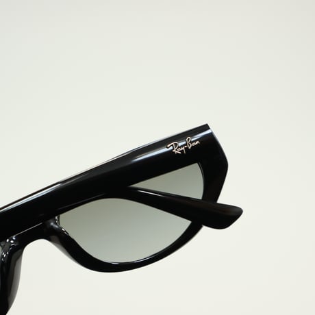 Ray-Ban レイバン RB4457D 6677/11