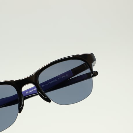 Eyevol アイヴォル SHAW-HF (52) ショーHF (52) / BK-V2 GY80HC (偏光レンズ仕様) vol system