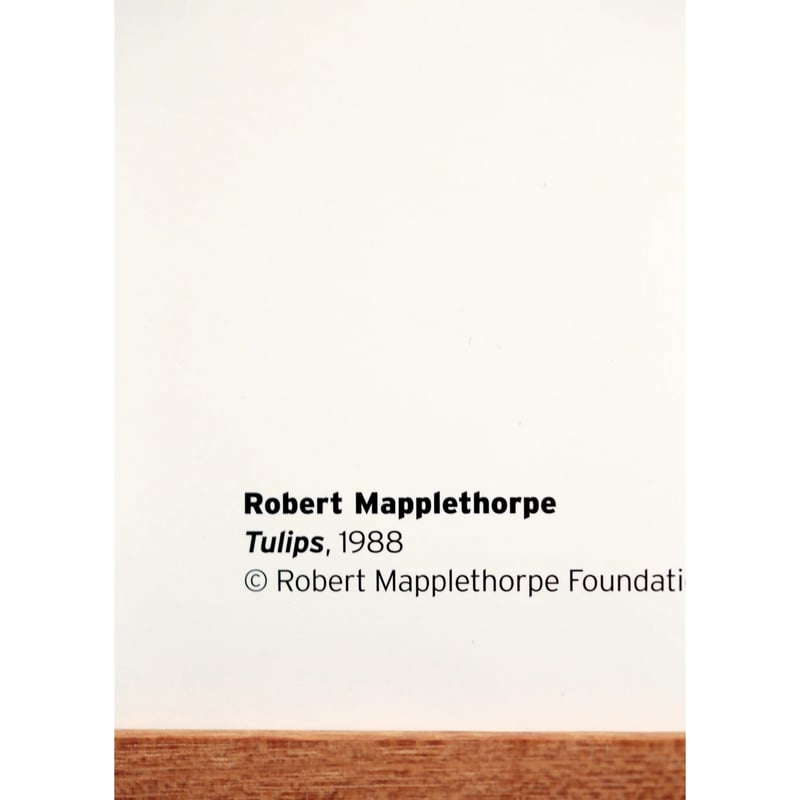 Robert Mapplethorpe - Tulips | LAC The Shop