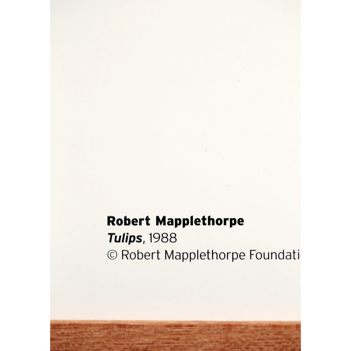 Robert Mapplethorpe - Tulips | LAC The Shop