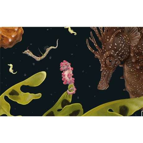 Zoe Keller - Syngnathidae, 2021