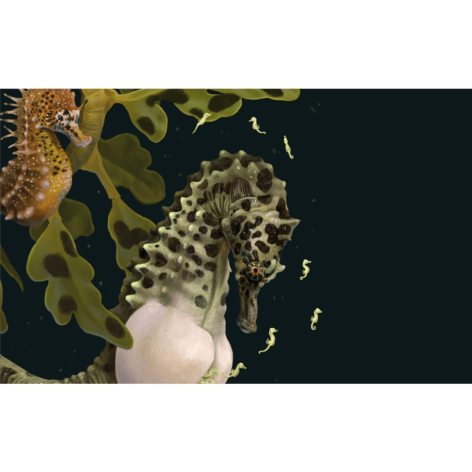 6602ae052358c609958305c0