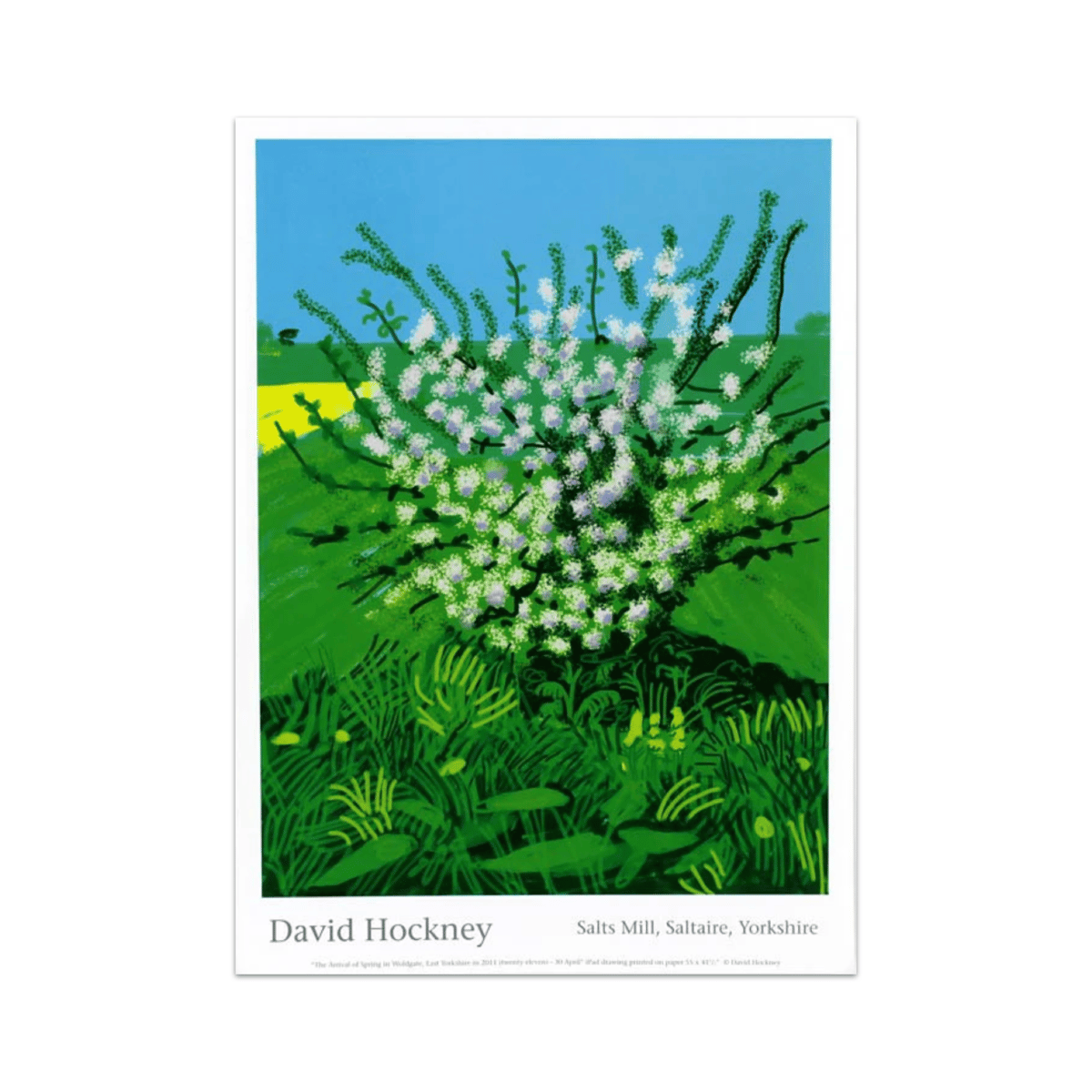 David Hockney - 30th April 2011 (The Arrival of