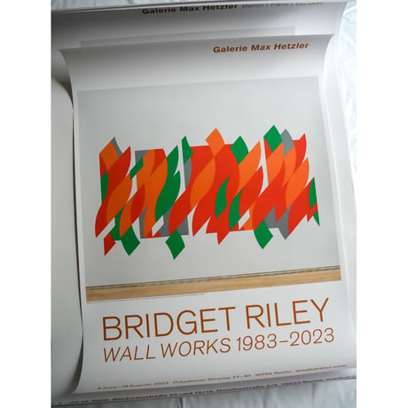 Bridget Riley - Rajasthan