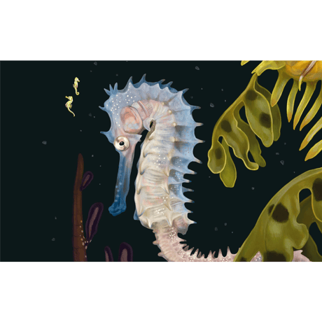 Zoe Keller - Syngnathidae, 2021