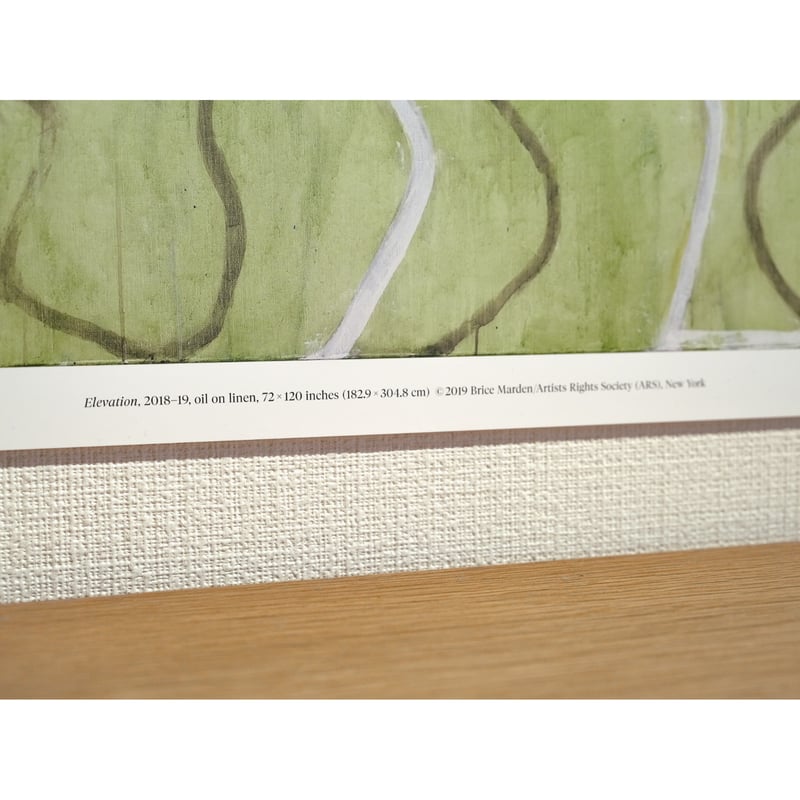 Brice Marden - Elevation | LAC The Shop