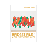 Bridget Riley - Rajasthan