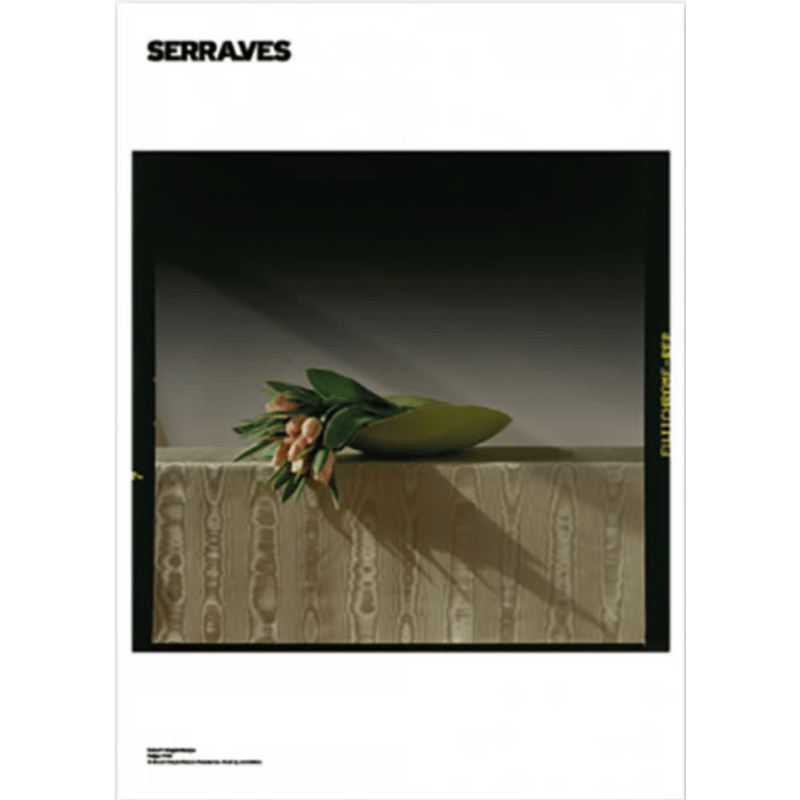 Robert Mapplethorpe - Tulips | LAC The Shop