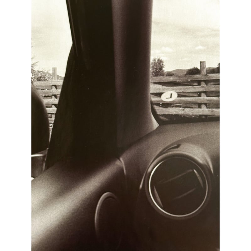 Lee Friedlander - America by Car | LAC The Shop