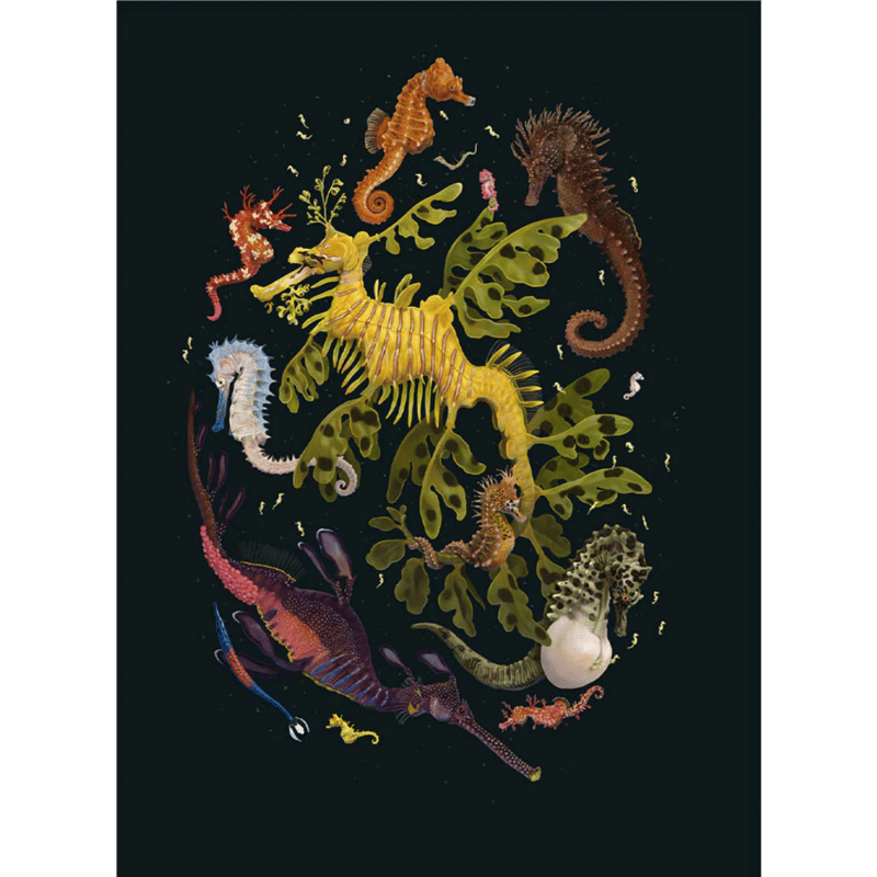 Zoe Keller - Syngnathidae, 2021 | L.A.C. The Shop