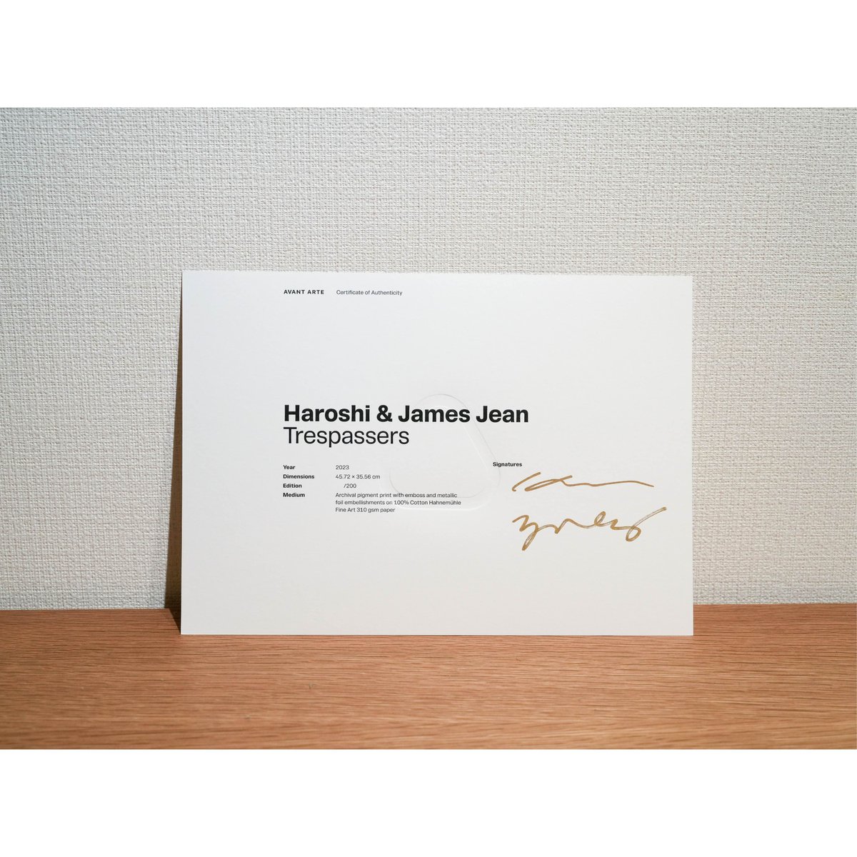 James Jean x Haroshi - Trespassers, 2023 | LAC
