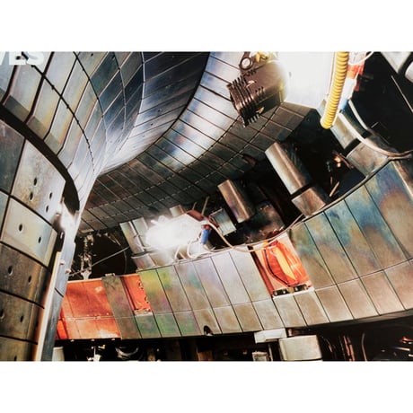 Thomas Struth - Tokamak Asdex Upgrade Interior 2, Max Planck IPP, Garching, Germany, 2009 ポスター