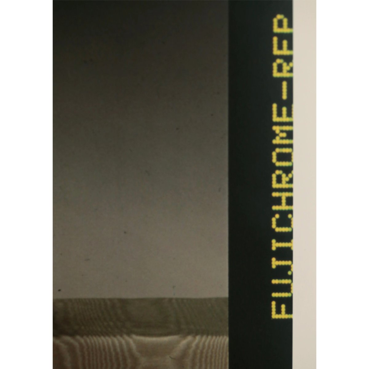 Robert Mapplethorpe - Tulips | LAC The Shop