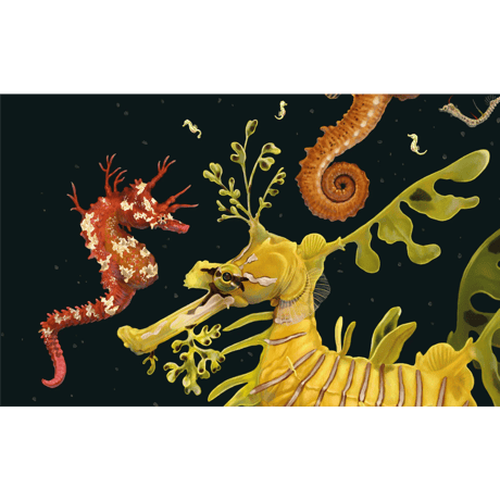 Zoe Keller - Syngnathidae, 2021
