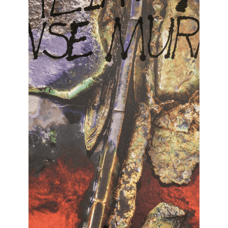 Sterling Ruby - DROWSE MURMURS (B)