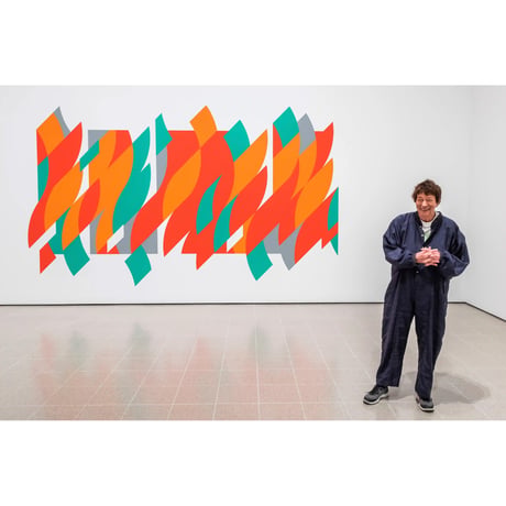 Bridget Riley - Rajasthan