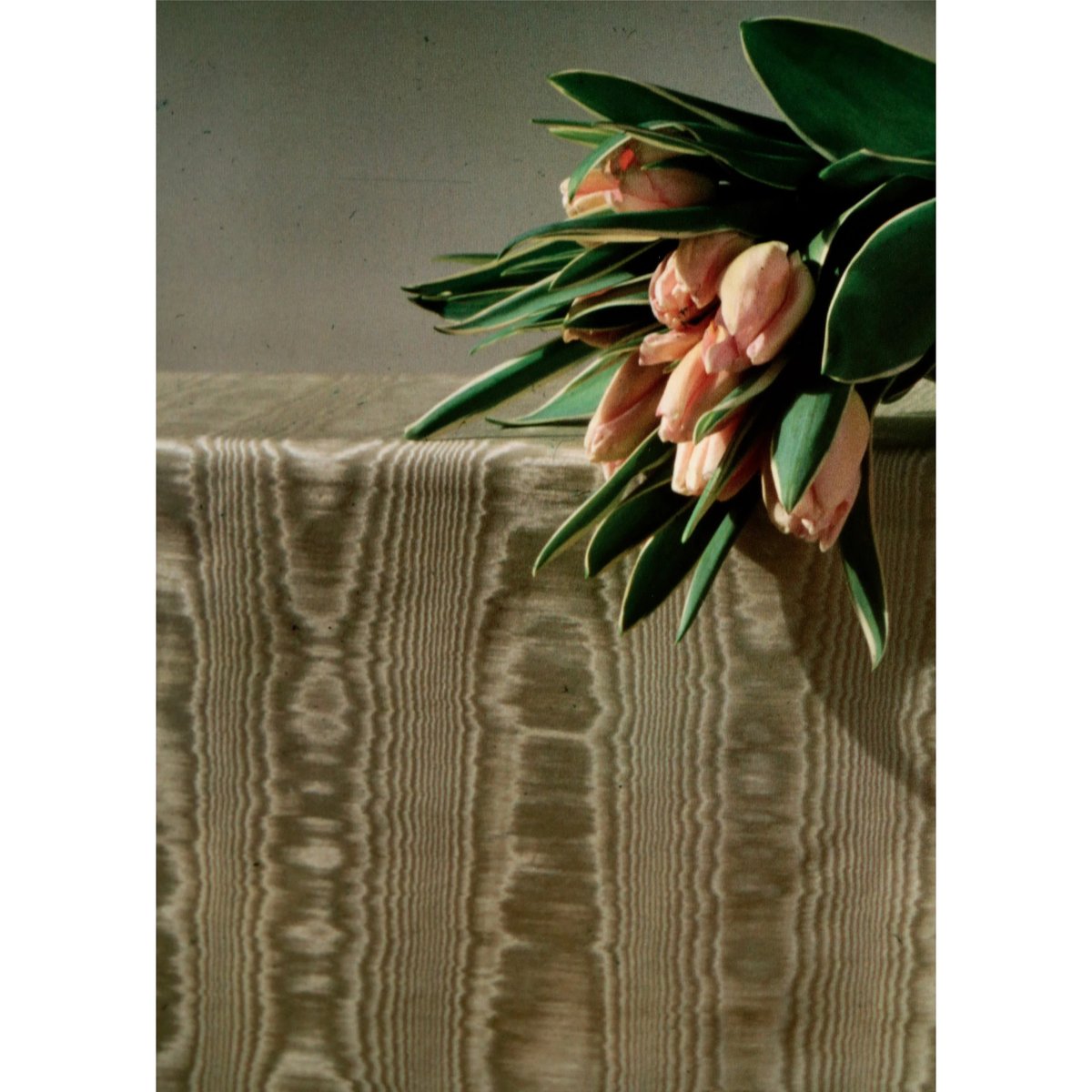 Robert Mapplethorpe - Tulips | LAC The Shop