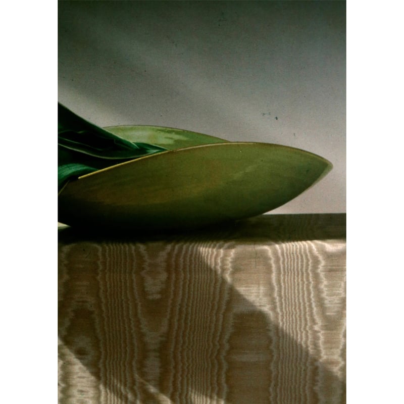 Robert Mapplethorpe - Tulips | LAC The Shop