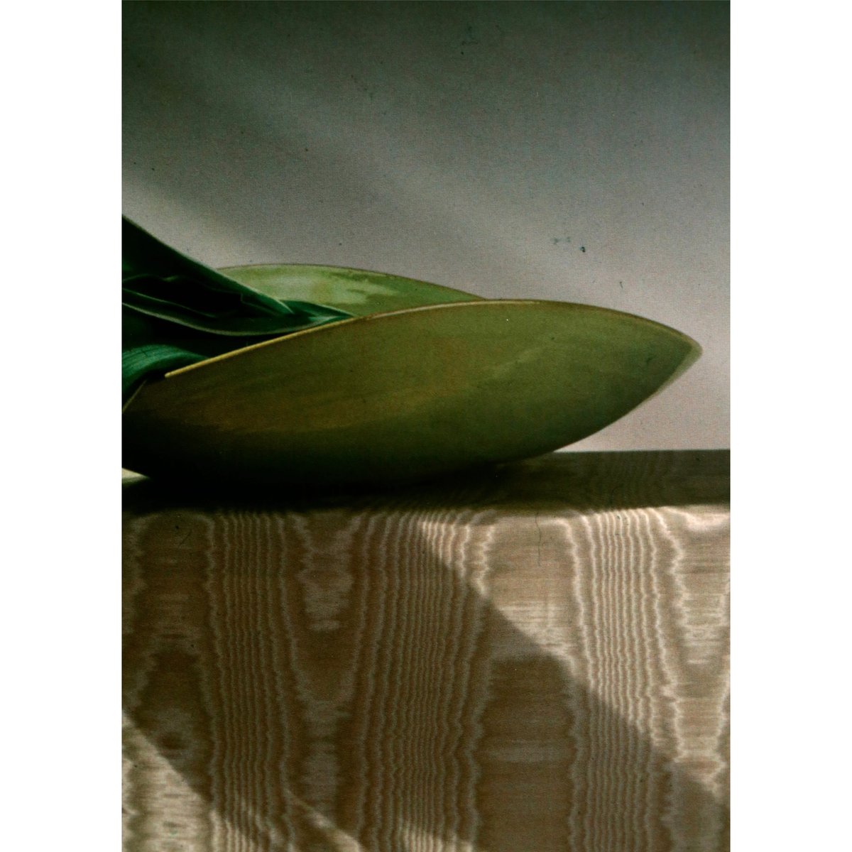 Robert Mapplethorpe - Tulips | LAC The Shop