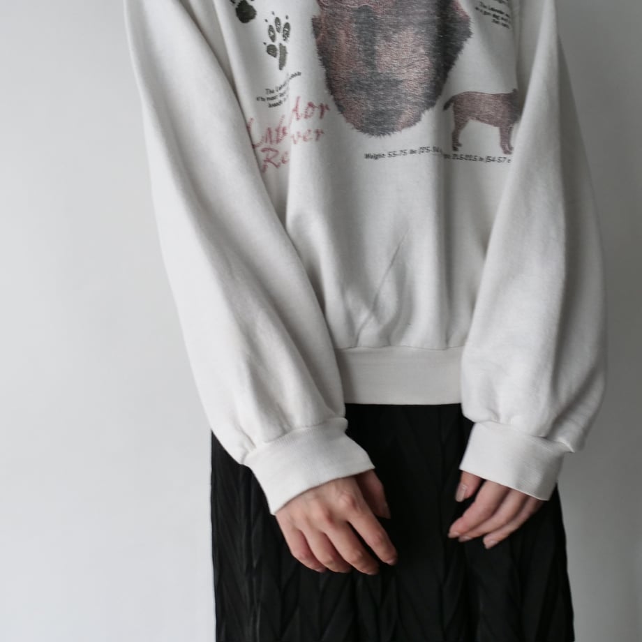672361053a6cff0780f89fd9